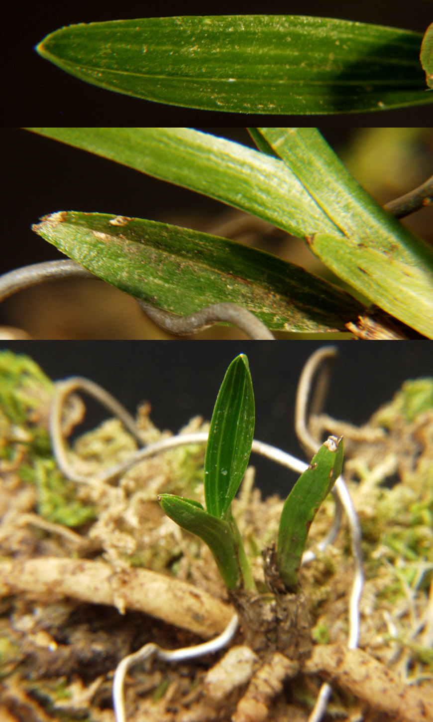 ������ ū������ �� �� �ֽ��ϴ�.