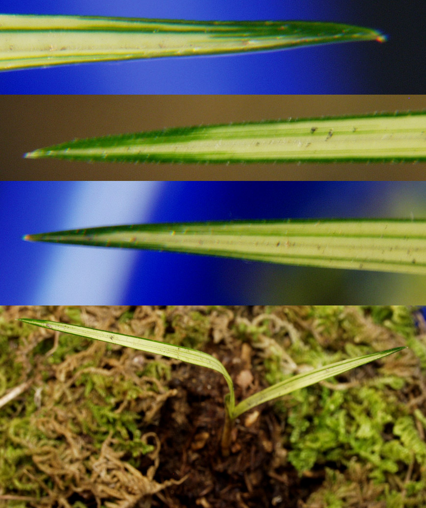 ������ ū������ �� �� �ֽ��ϴ�.