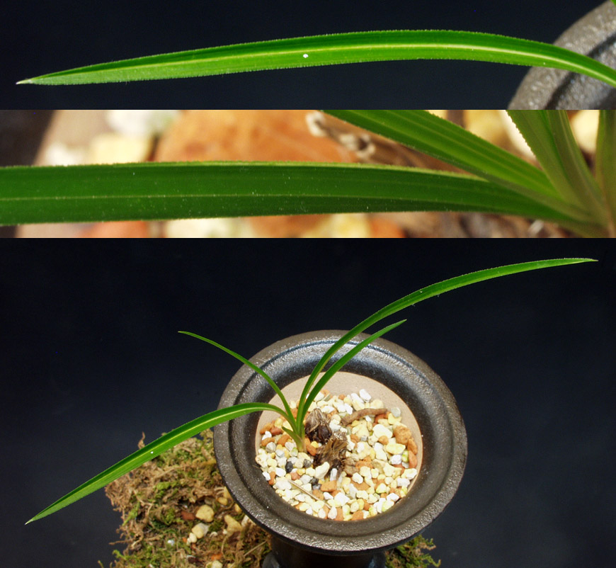 ������ ū������ �� �� �ֽ��ϴ�.