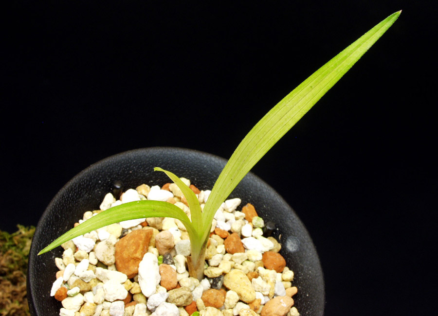 ������ ū������ �� �� �ֽ��ϴ�.