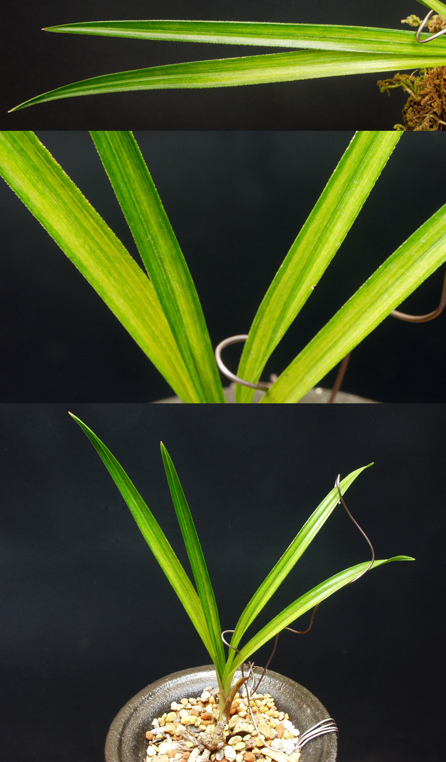 ������ ū������ �� �� �ֽ��ϴ�.