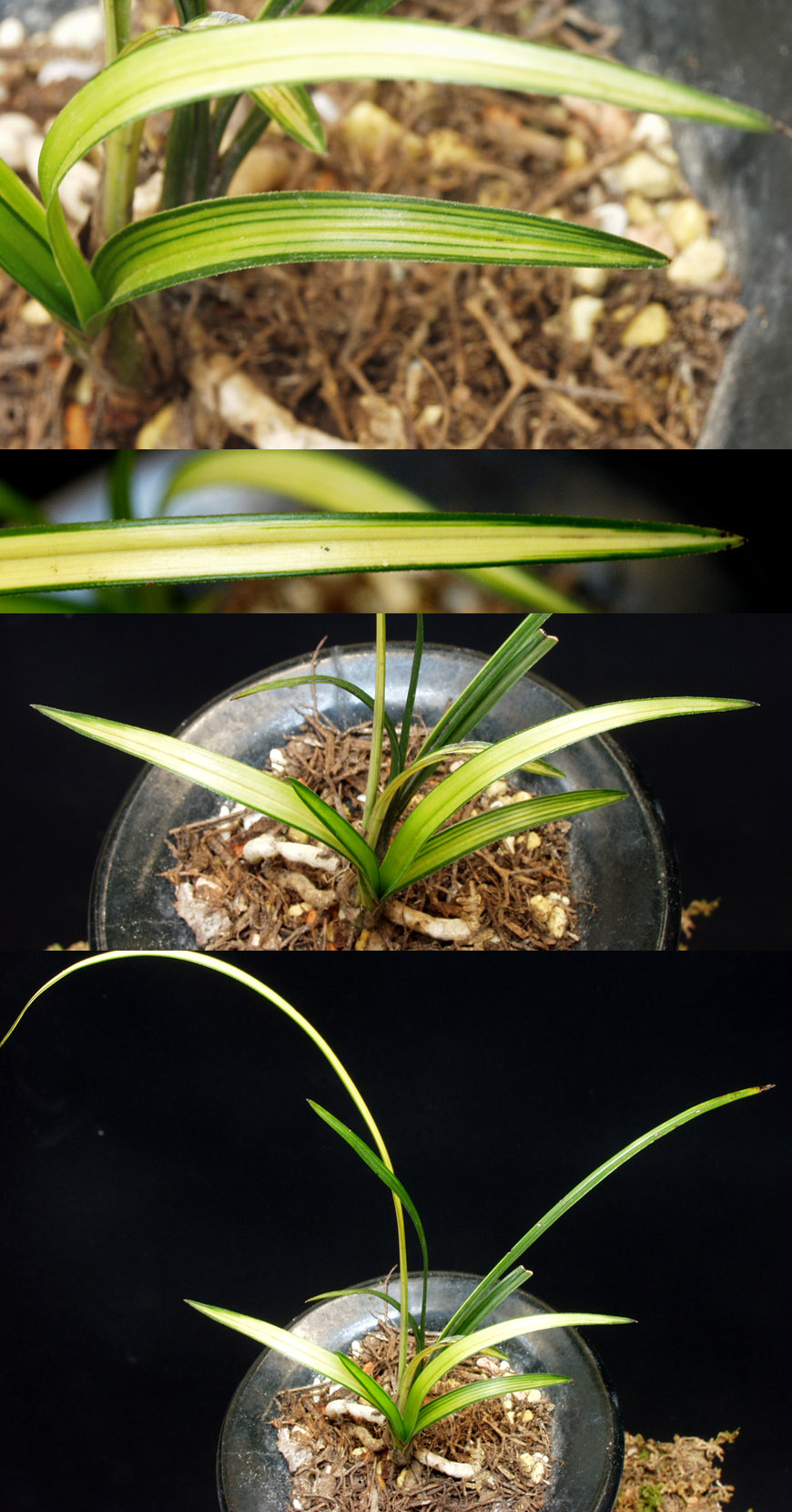 ������ ū������ �� �� �ֽ��ϴ�.