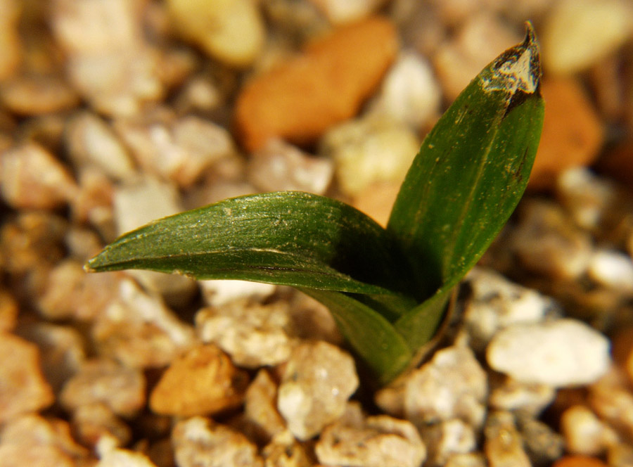 ������ ū������ �� �� �ֽ��ϴ�.