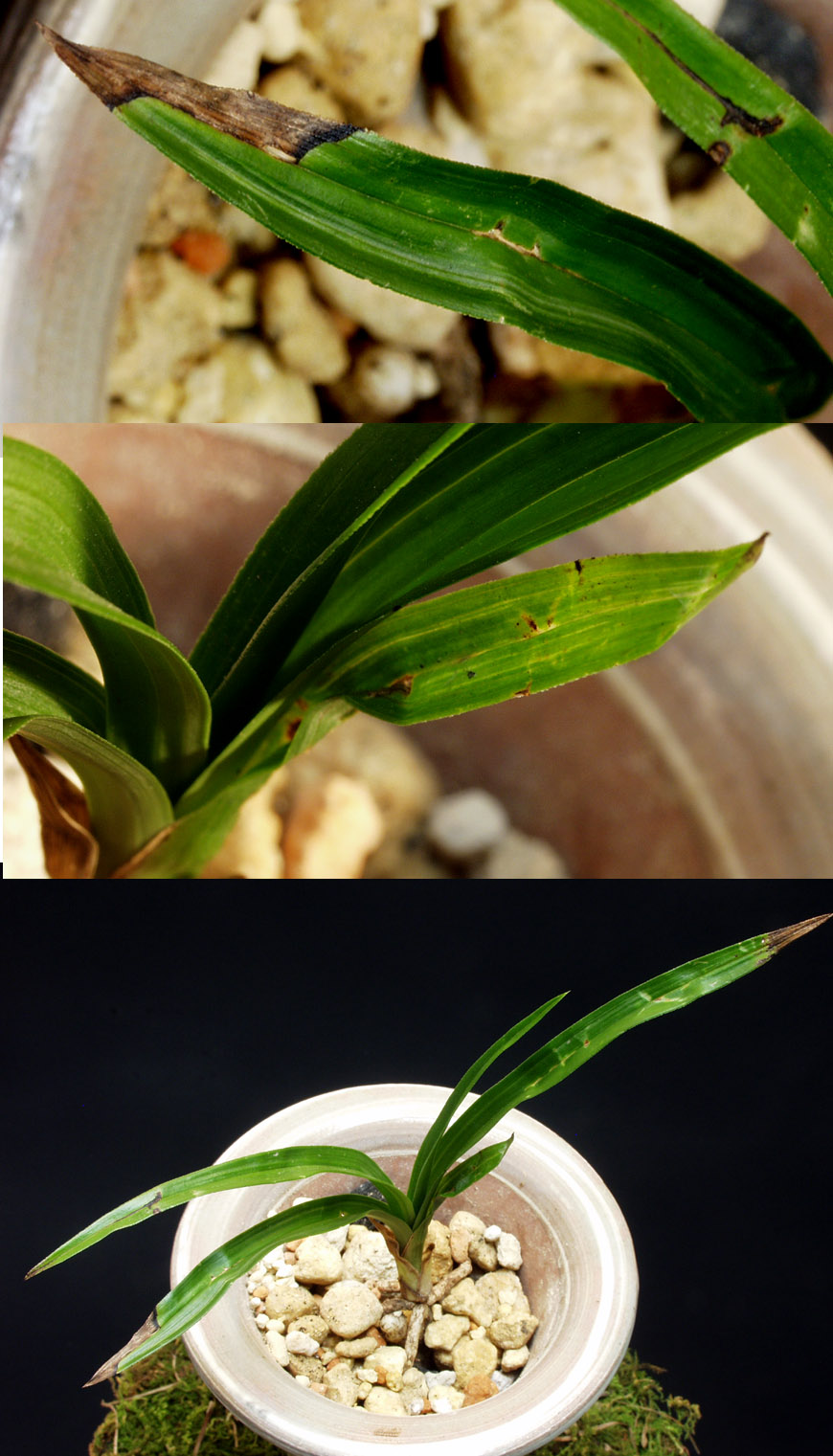 ������ ū������ �� �� �ֽ��ϴ�.