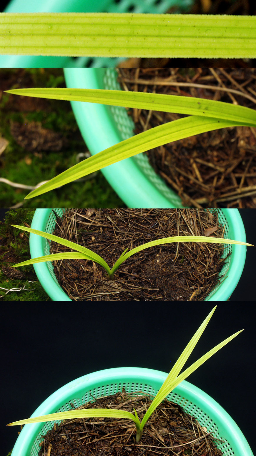 ������ ū������ �� �� �ֽ��ϴ�.