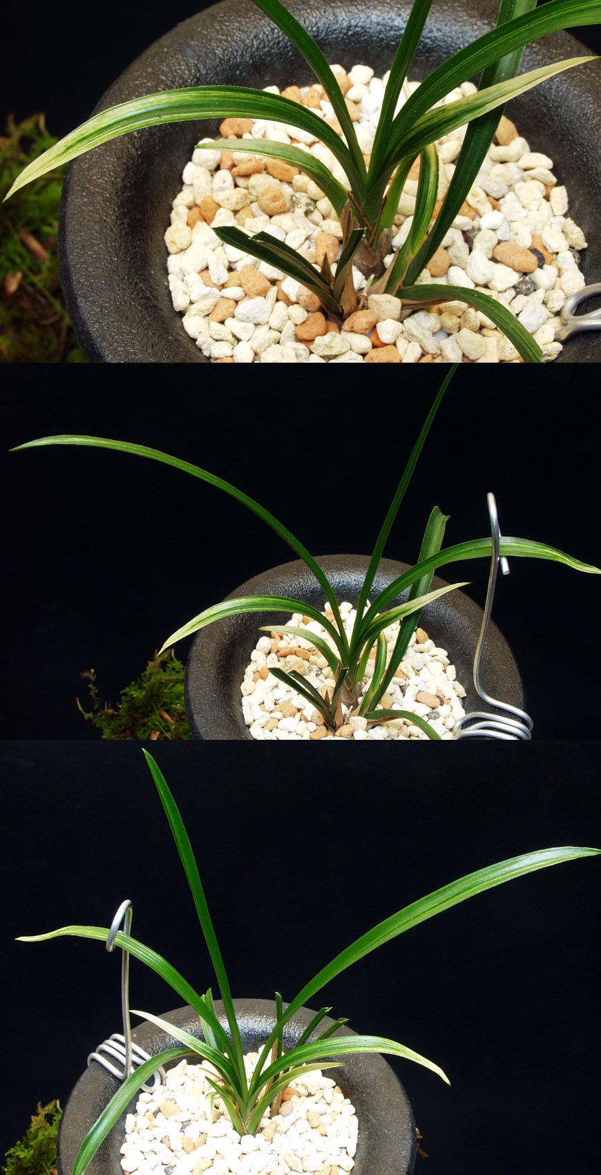 ������ ū������ �� �� �ֽ��ϴ�.