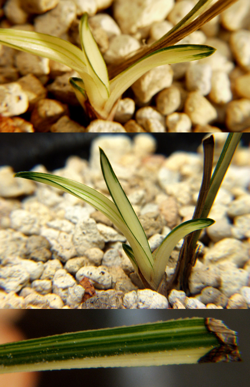 ������ ū������ �� �� �ֽ��ϴ�.