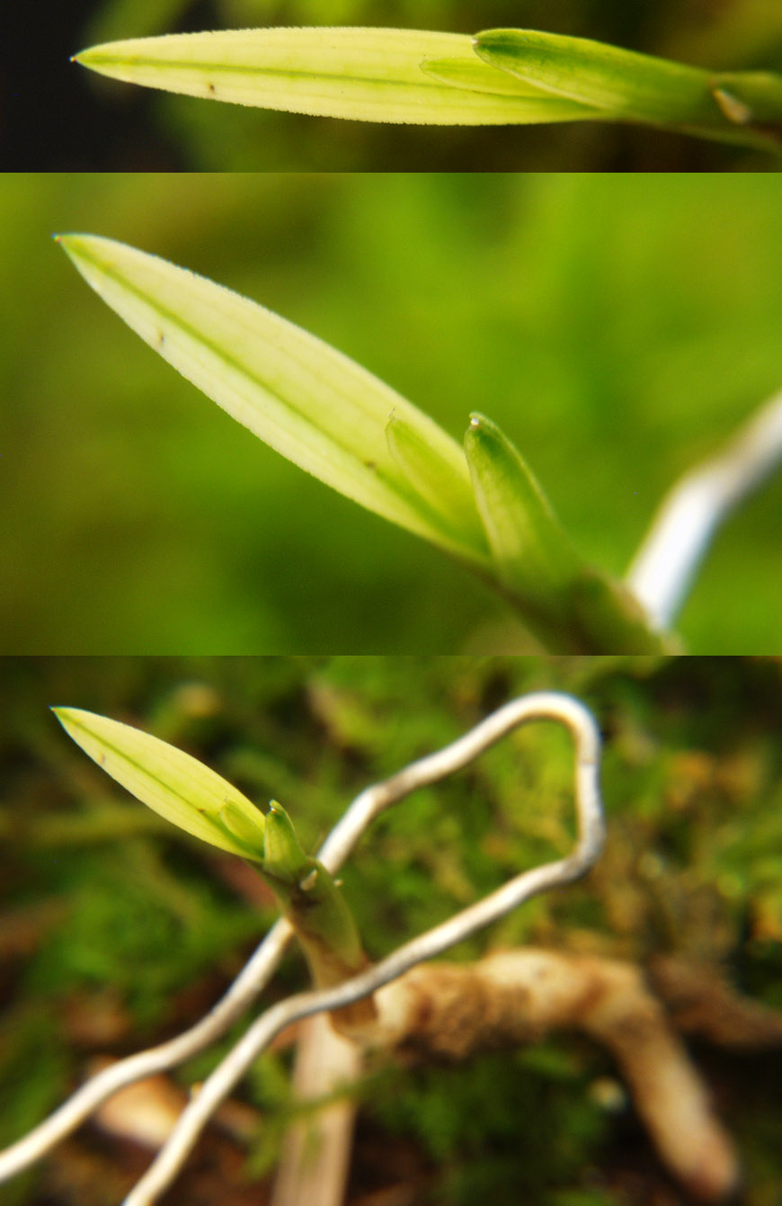 ������ ū������ �� �� �ֽ��ϴ�.