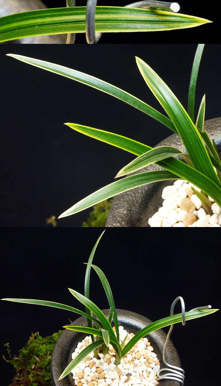 ������ ū������ �� �� �ֽ��ϴ�.