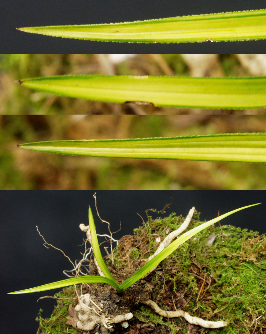 ������ ū������ �� �� �ֽ��ϴ�.