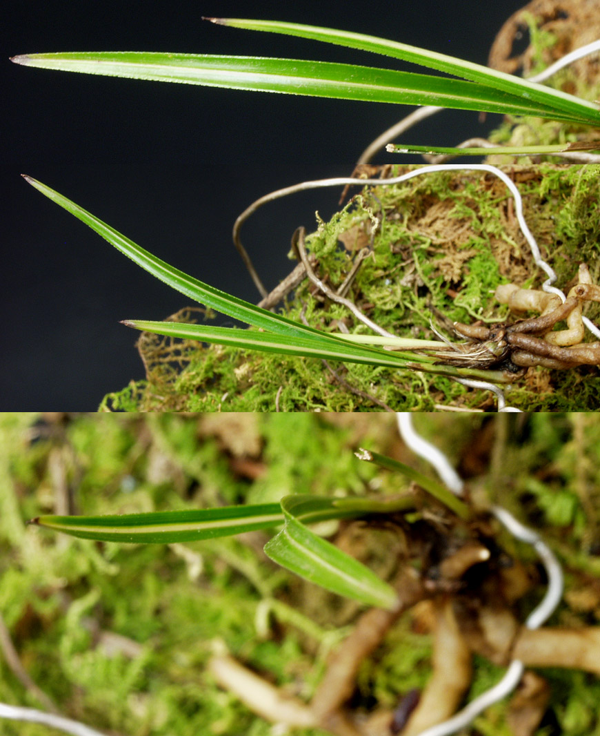 ������ ū������ �� �� �ֽ��ϴ�.