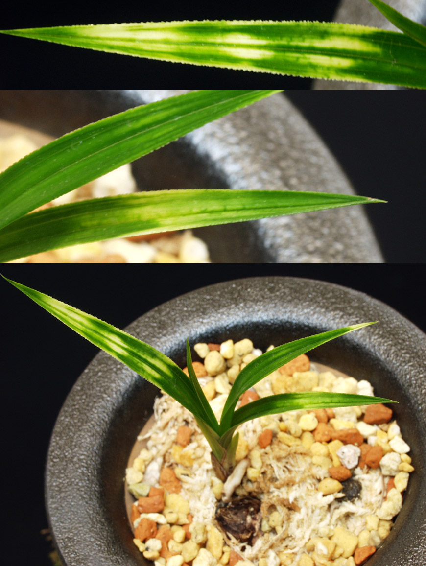 ������ ū������ �� �� �ֽ��ϴ�.