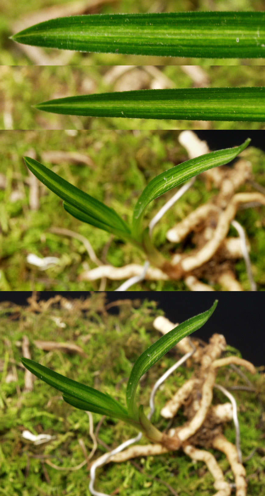 ������ ū������ �� �� �ֽ��ϴ�.