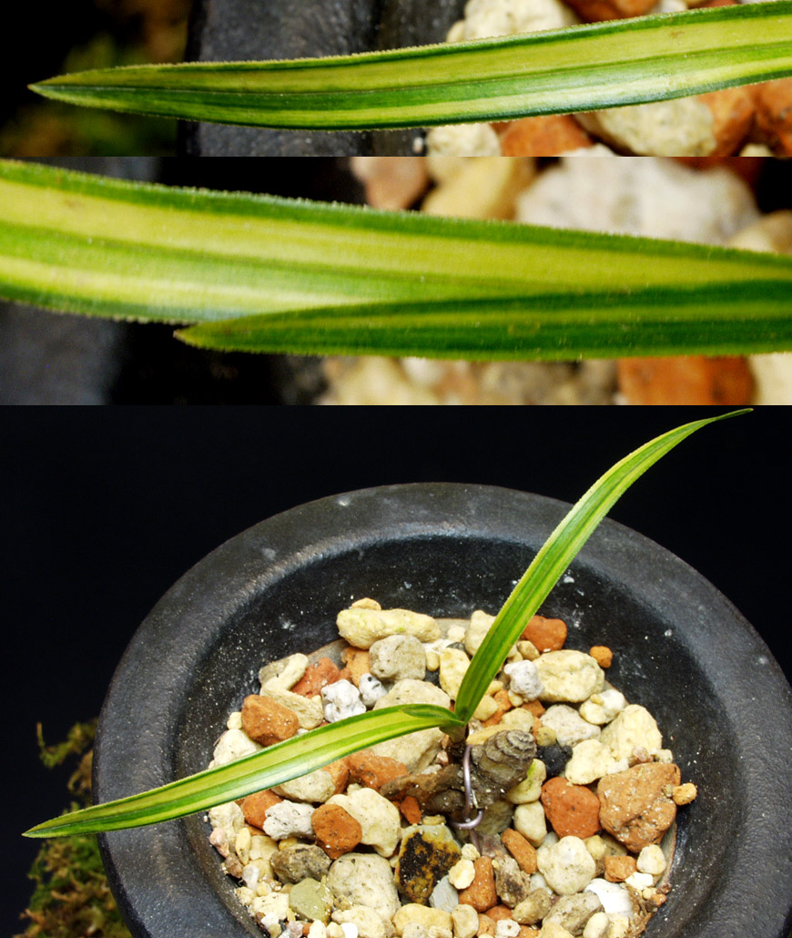 ������ ū������ �� �� �ֽ��ϴ�.