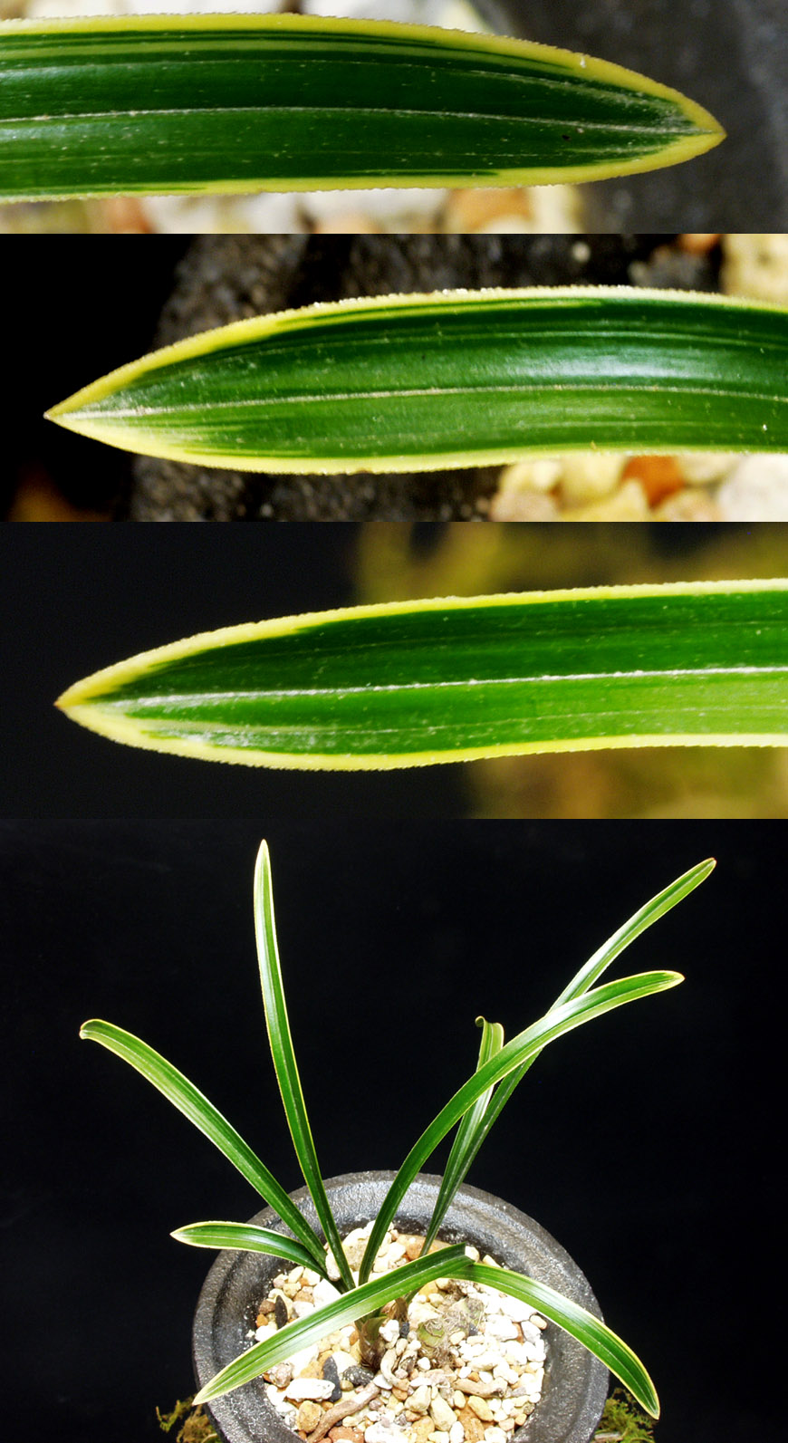 ������ ū������ �� �� �ֽ��ϴ�.