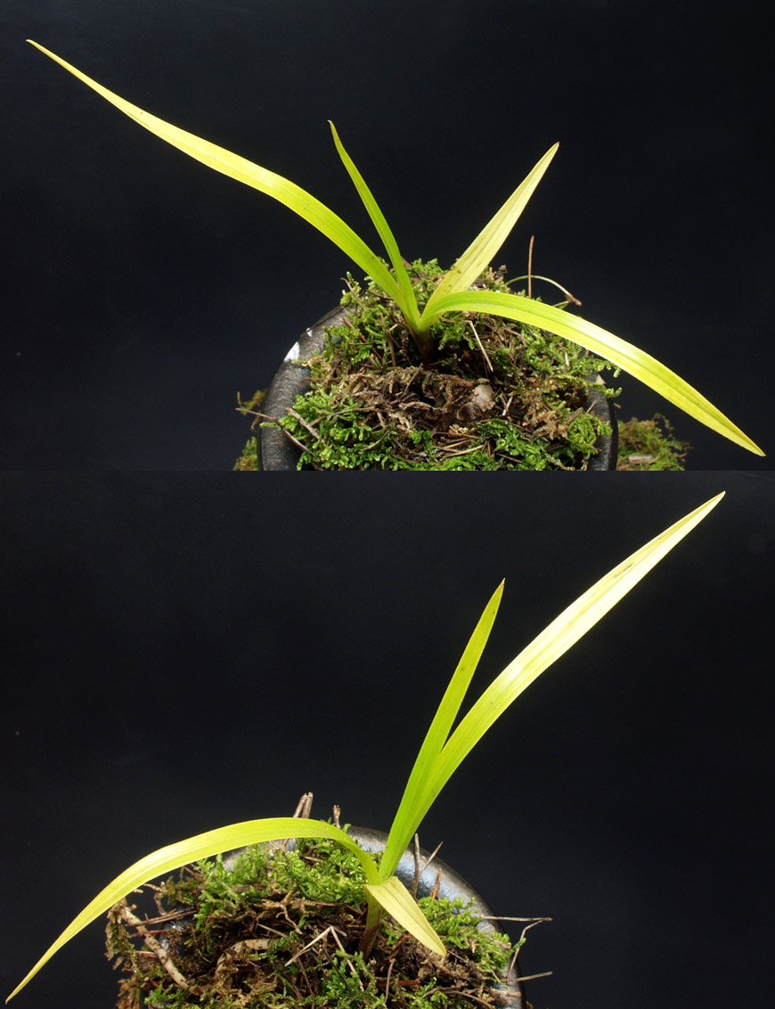 ������ ū������ �� �� �ֽ��ϴ�.