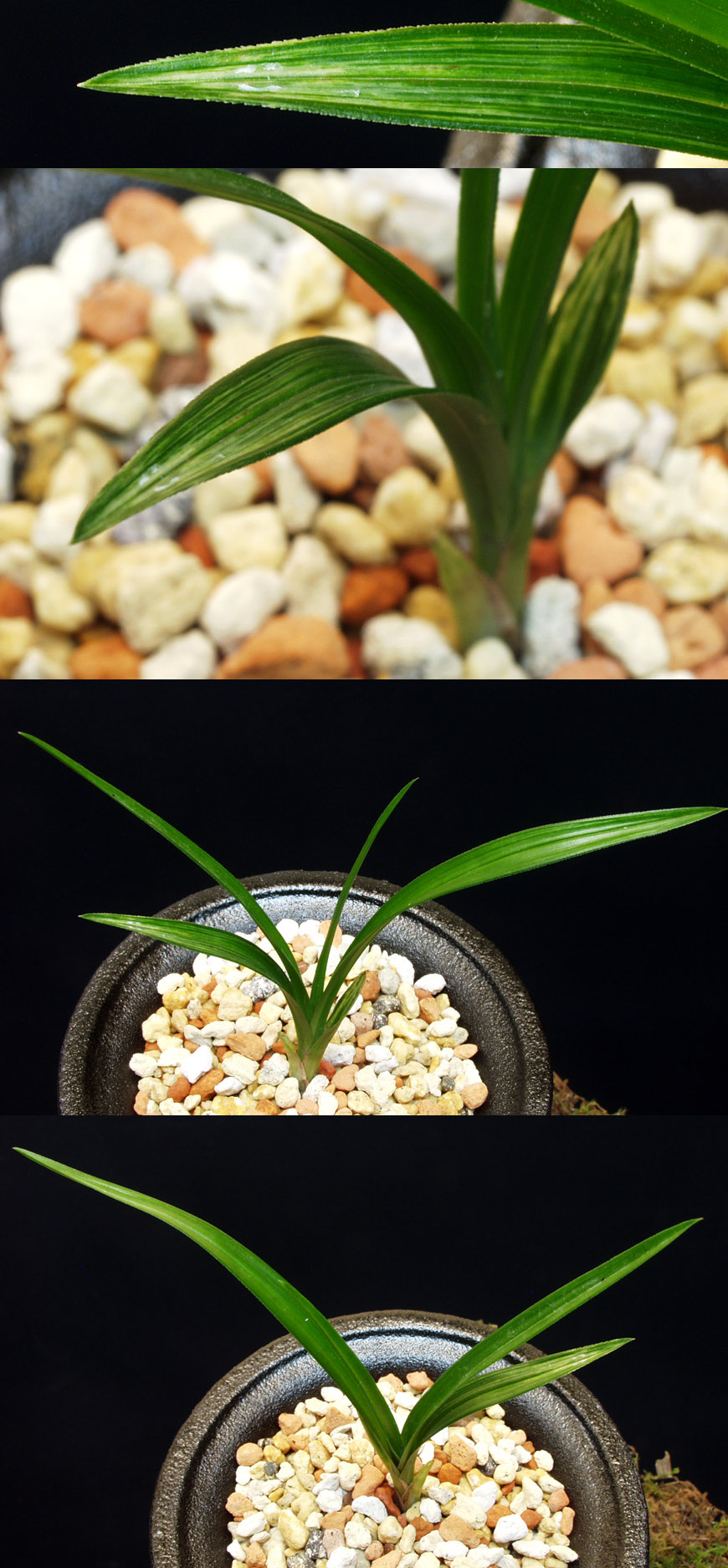 ������ ū������ �� �� �ֽ��ϴ�.