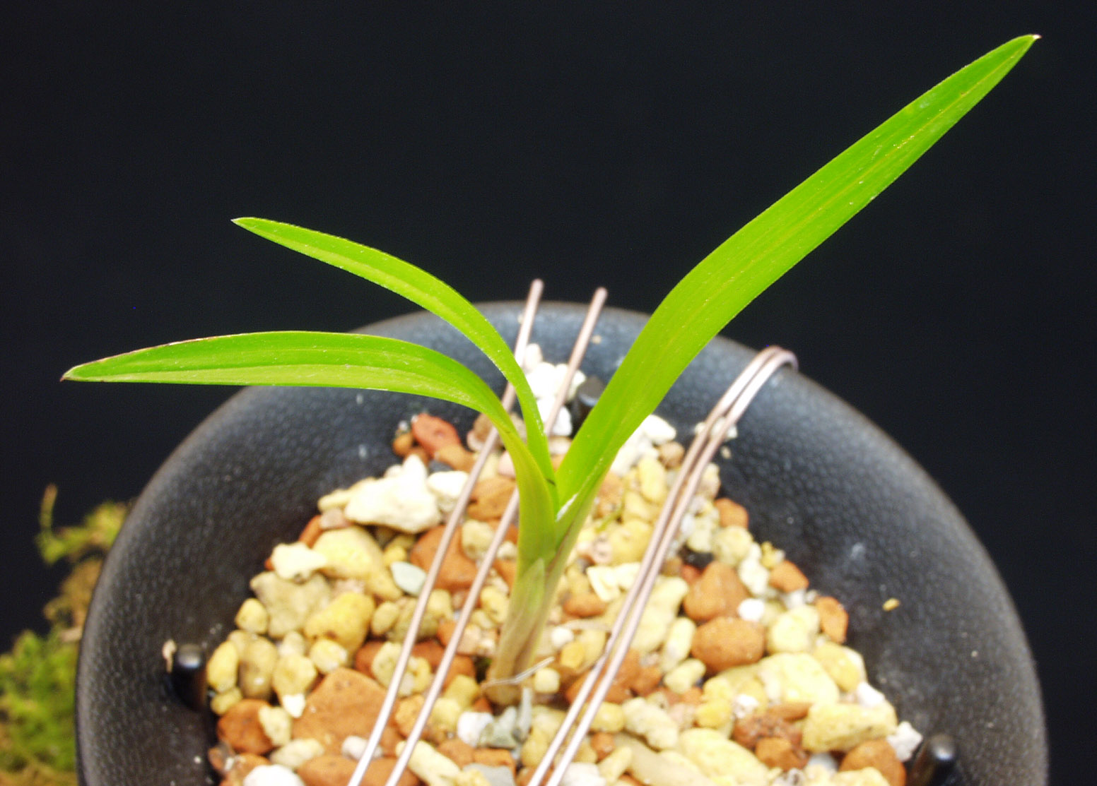 ������ ū������ �� �� �ֽ��ϴ�.