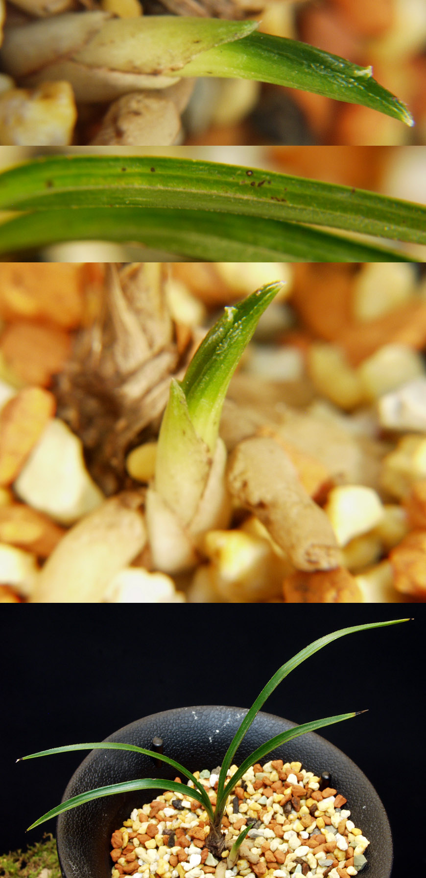 ������ ū������ �� �� �ֽ��ϴ�.