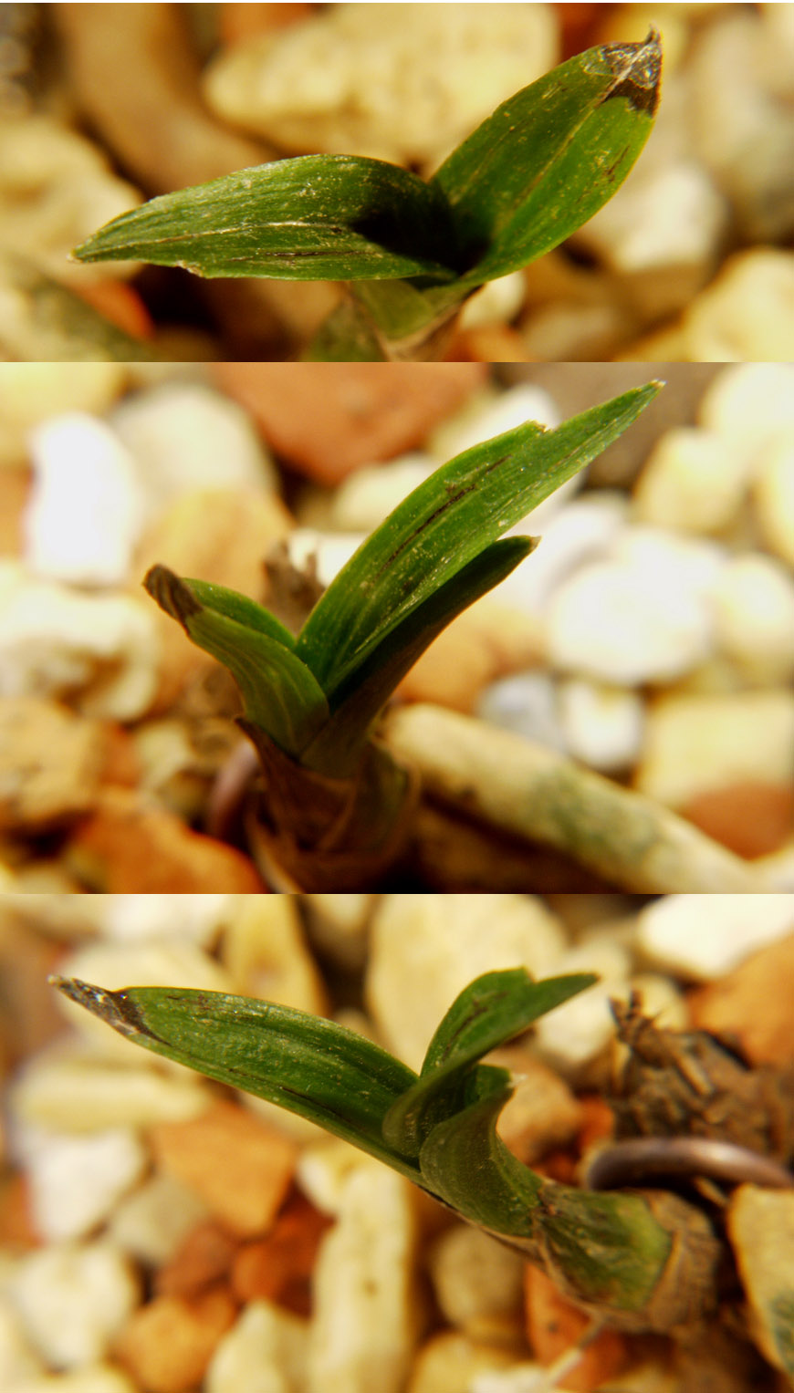 ������ ū������ �� �� �ֽ��ϴ�.