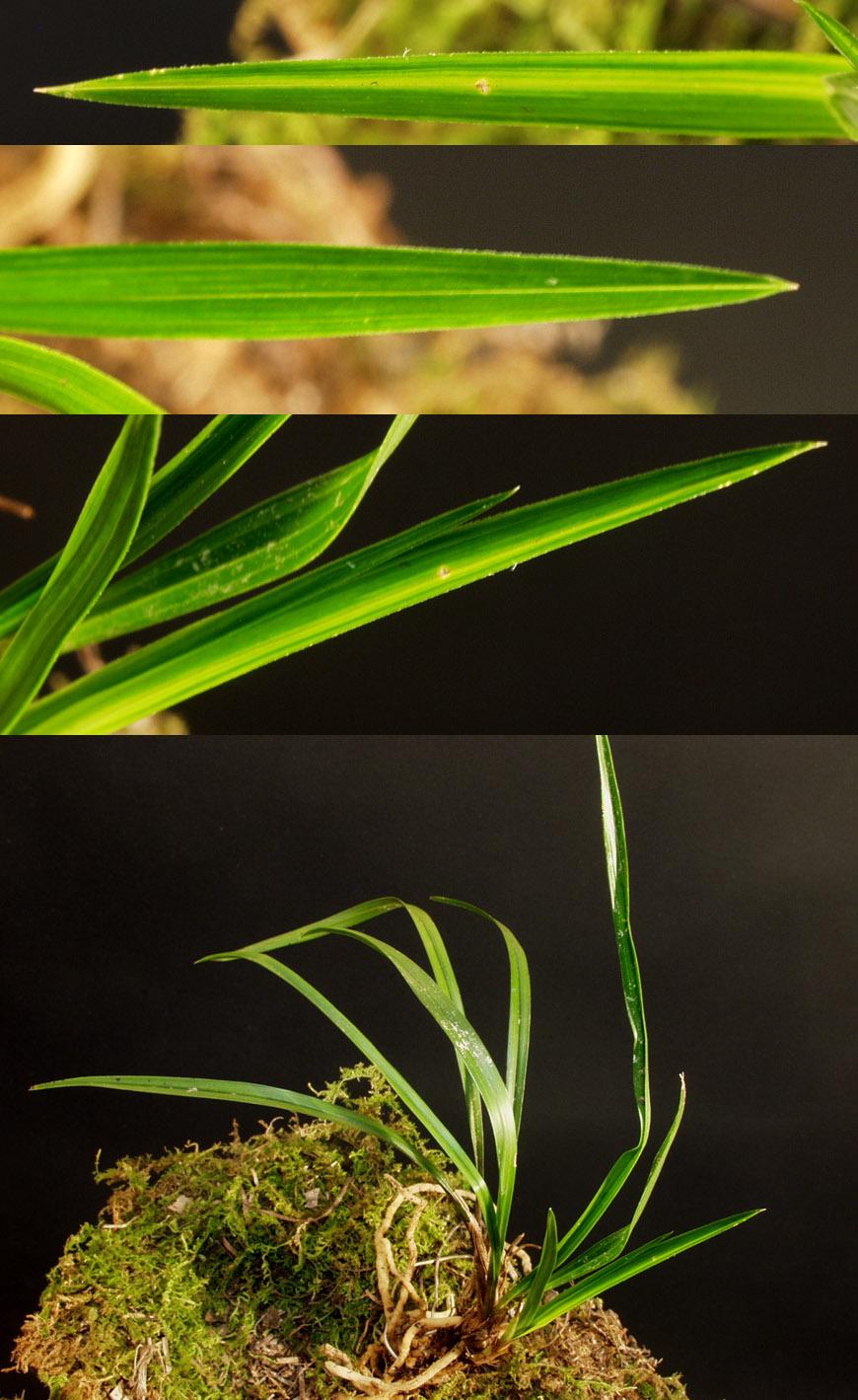 ������ ū������ �� �� �ֽ��ϴ�.