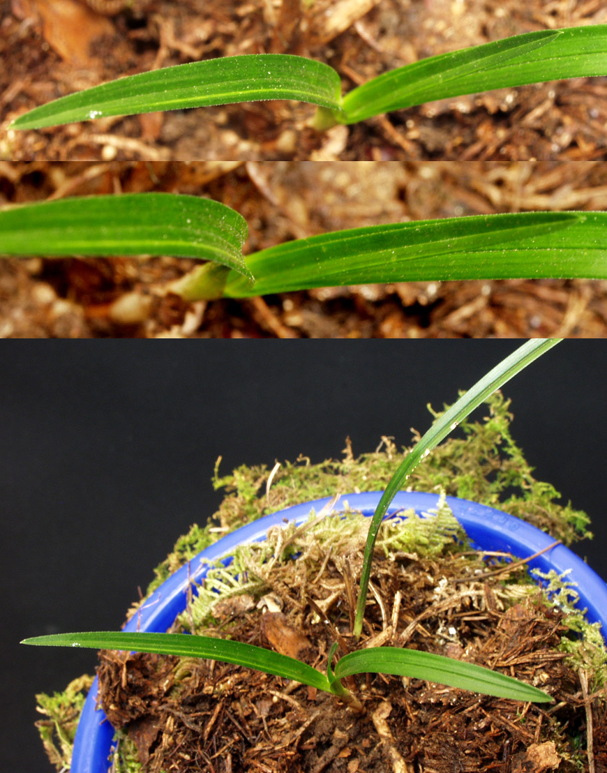 ������ ū������ �� �� �ֽ��ϴ�.