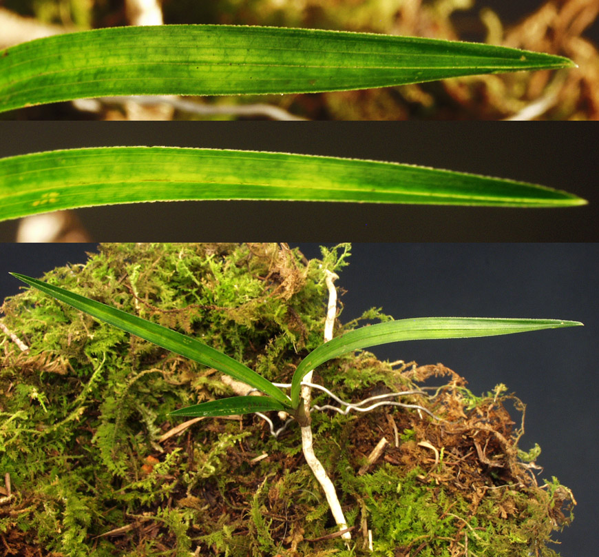 ������ ū������ �� �� �ֽ��ϴ�.