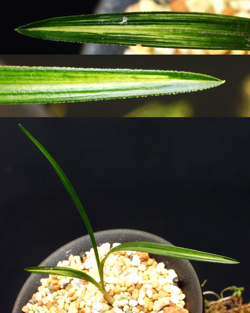 ������ ū������ �� �� �ֽ��ϴ�.