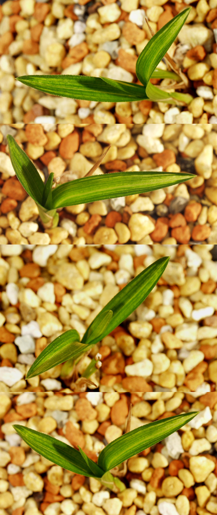 ������ ū������ �� �� �ֽ��ϴ�.