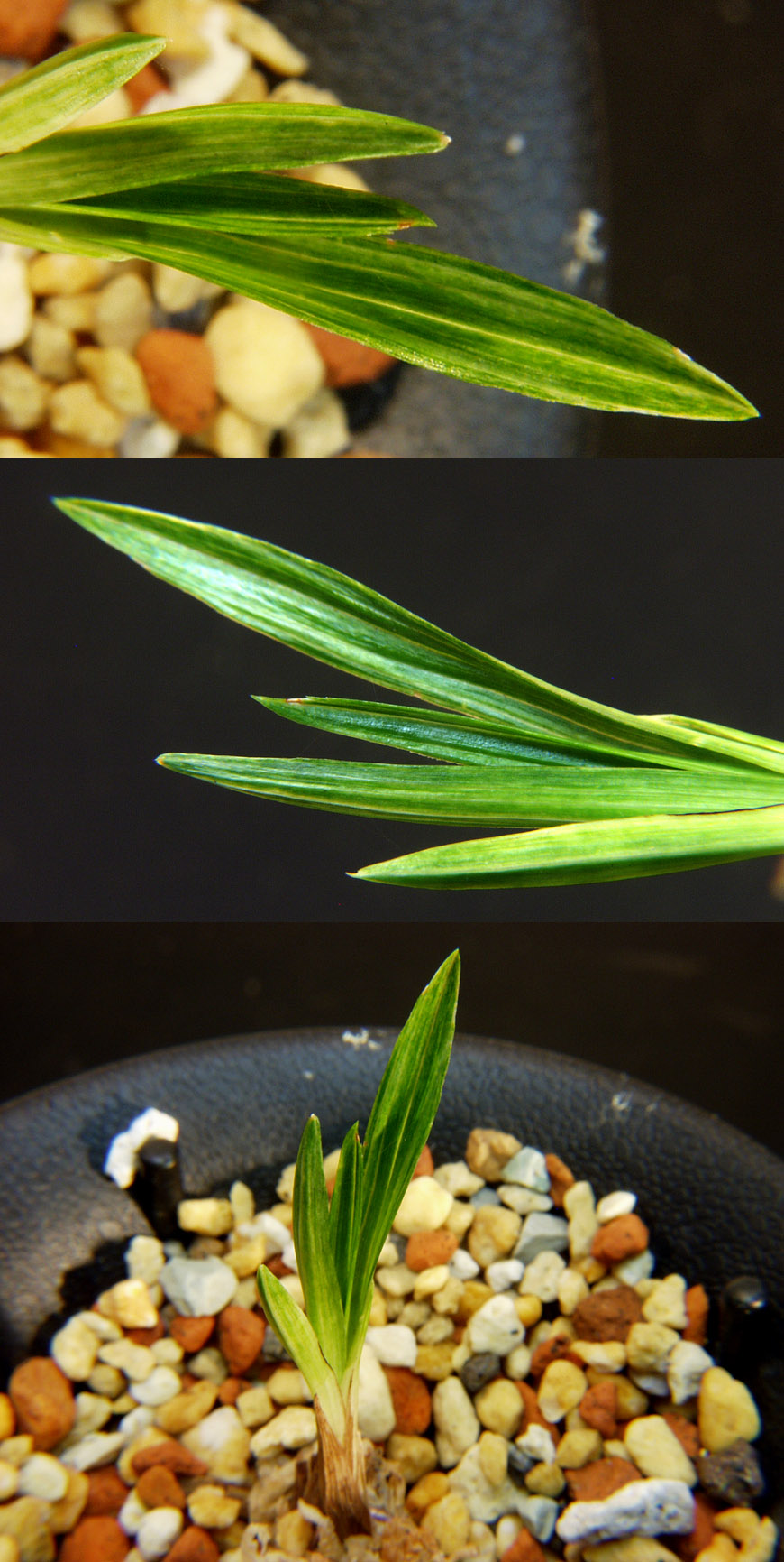 ������ ū������ �� �� �ֽ��ϴ�.