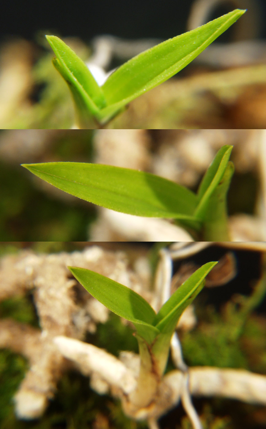 ������ ū������ �� �� �ֽ��ϴ�.