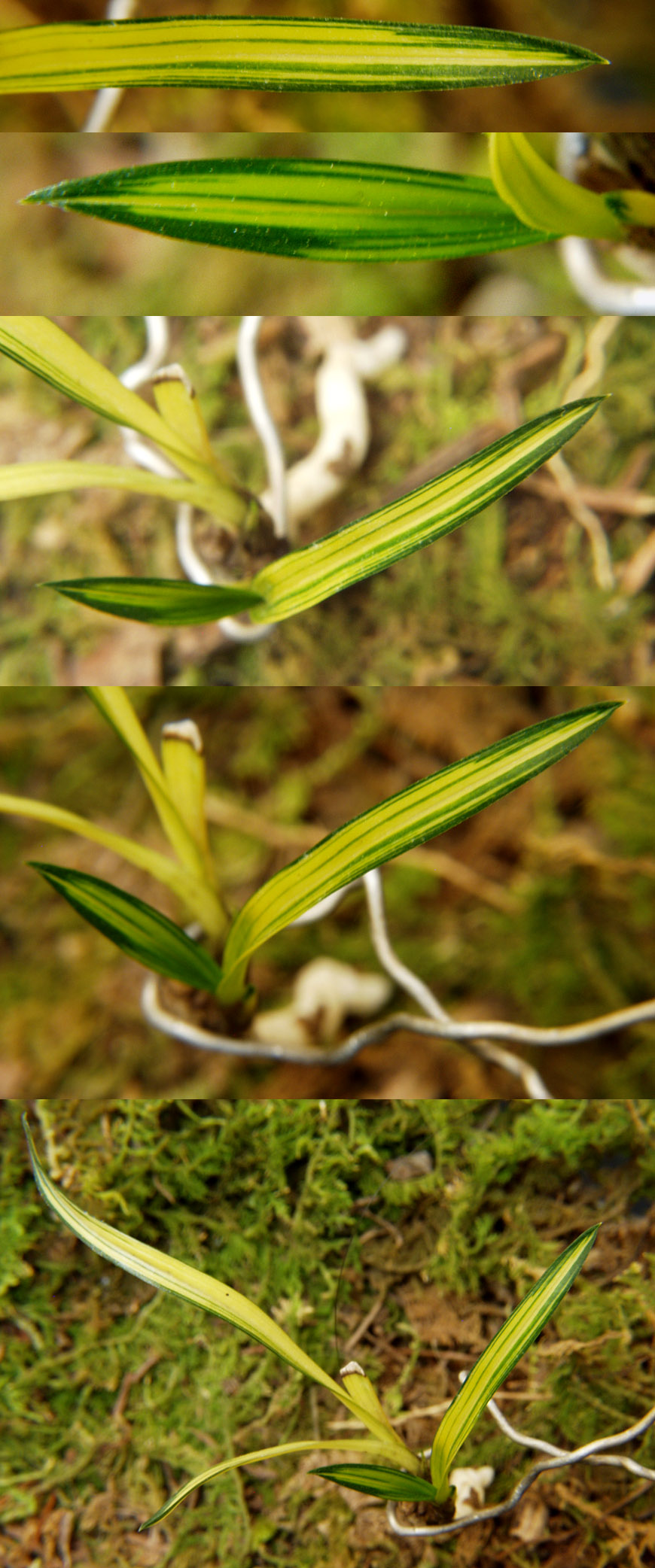 ������ ū������ �� �� �ֽ��ϴ�.