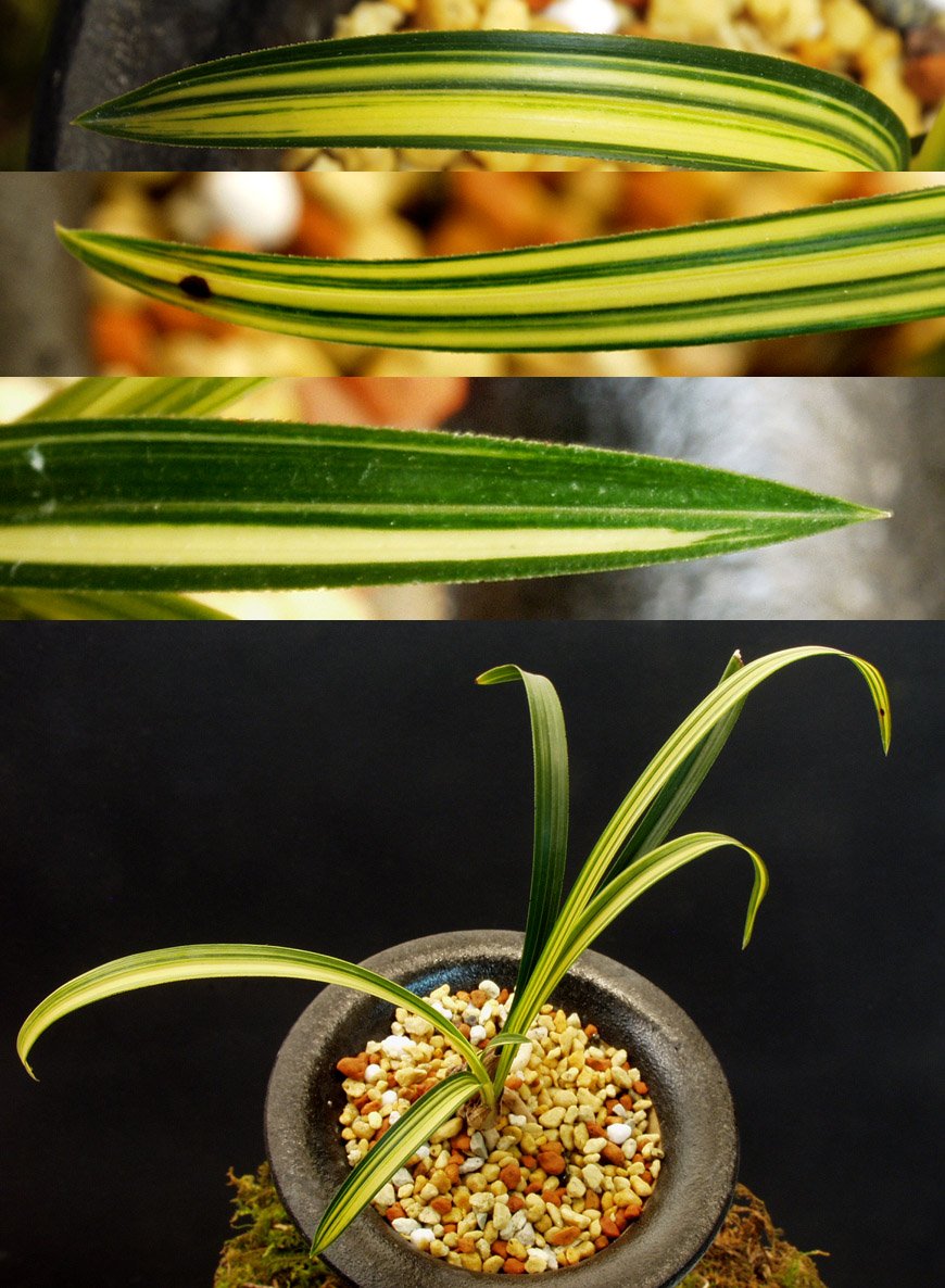 ������ ū������ �� �� �ֽ��ϴ�.