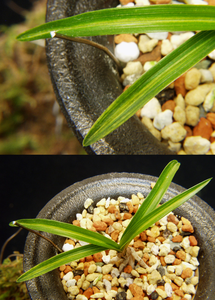 ������ ū������ �� �� �ֽ��ϴ�.