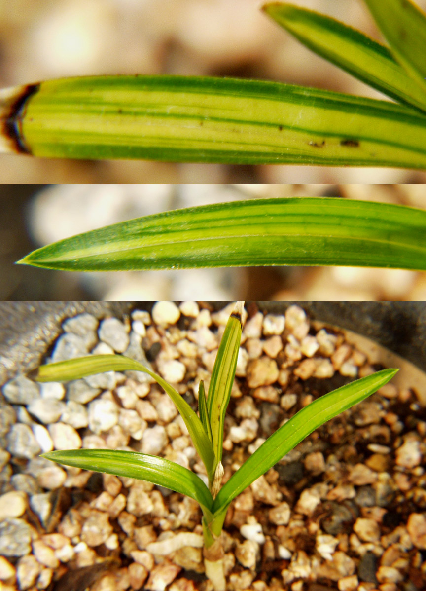 ������ ū������ �� �� �ֽ��ϴ�.