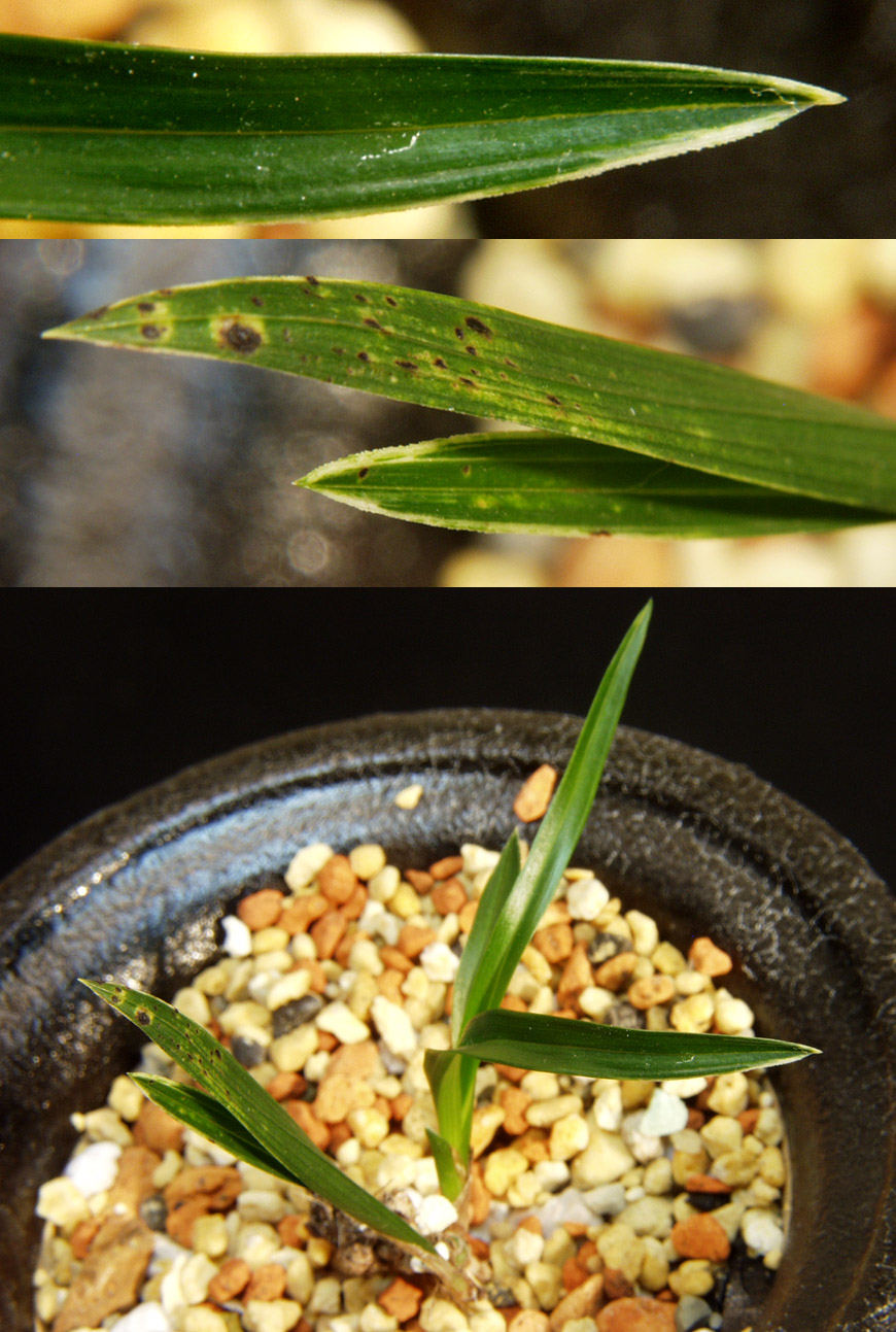 ������ ū������ �� �� �ֽ��ϴ�.