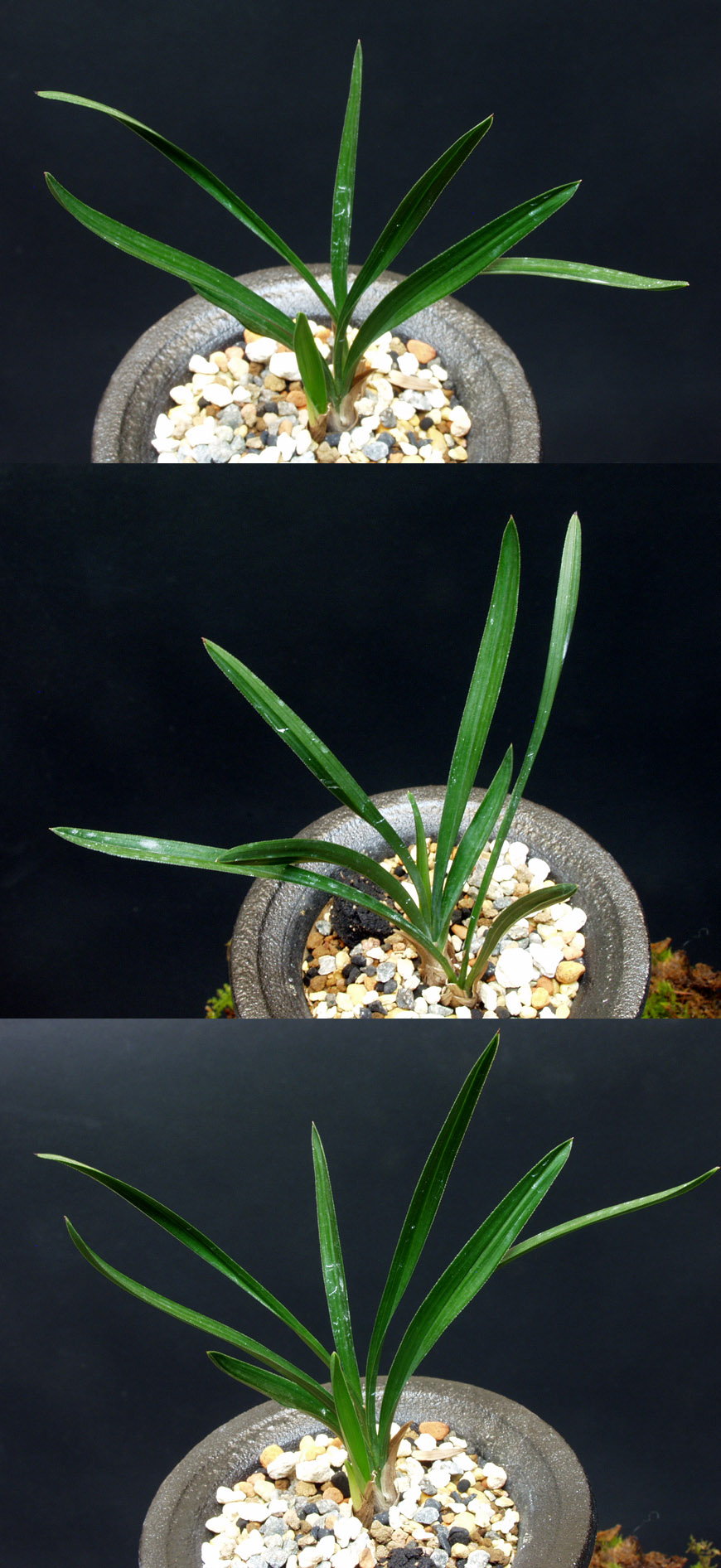 ������ ū������ �� �� �ֽ��ϴ�.