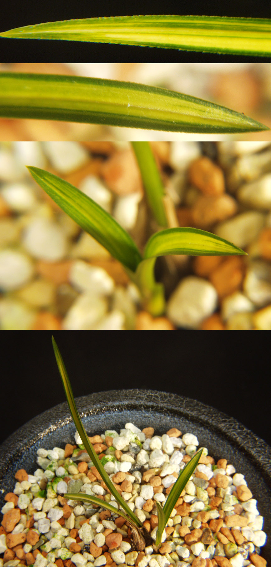 ������ ū������ �� �� �ֽ��ϴ�.