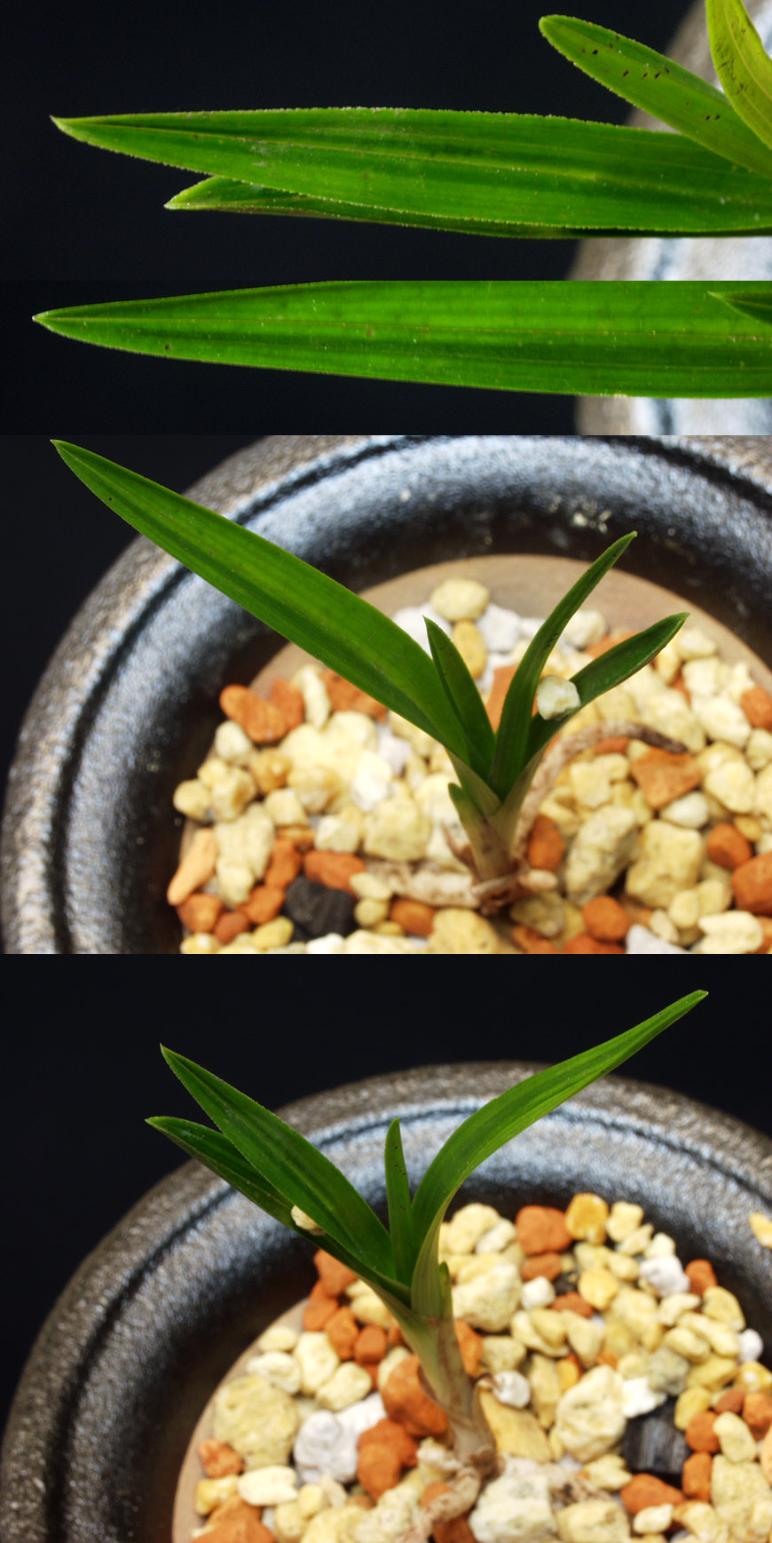 ������ ū������ �� �� �ֽ��ϴ�.