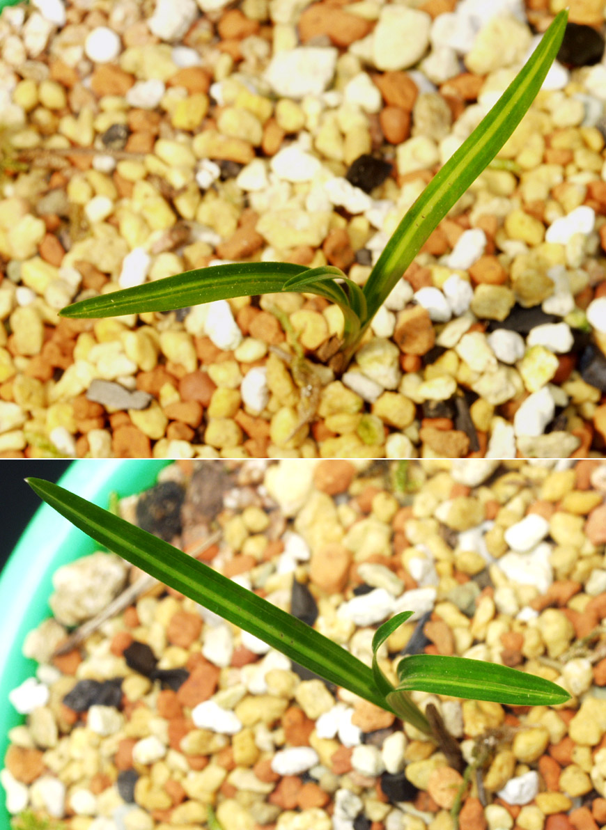 ������ ū������ �� �� �ֽ��ϴ�.