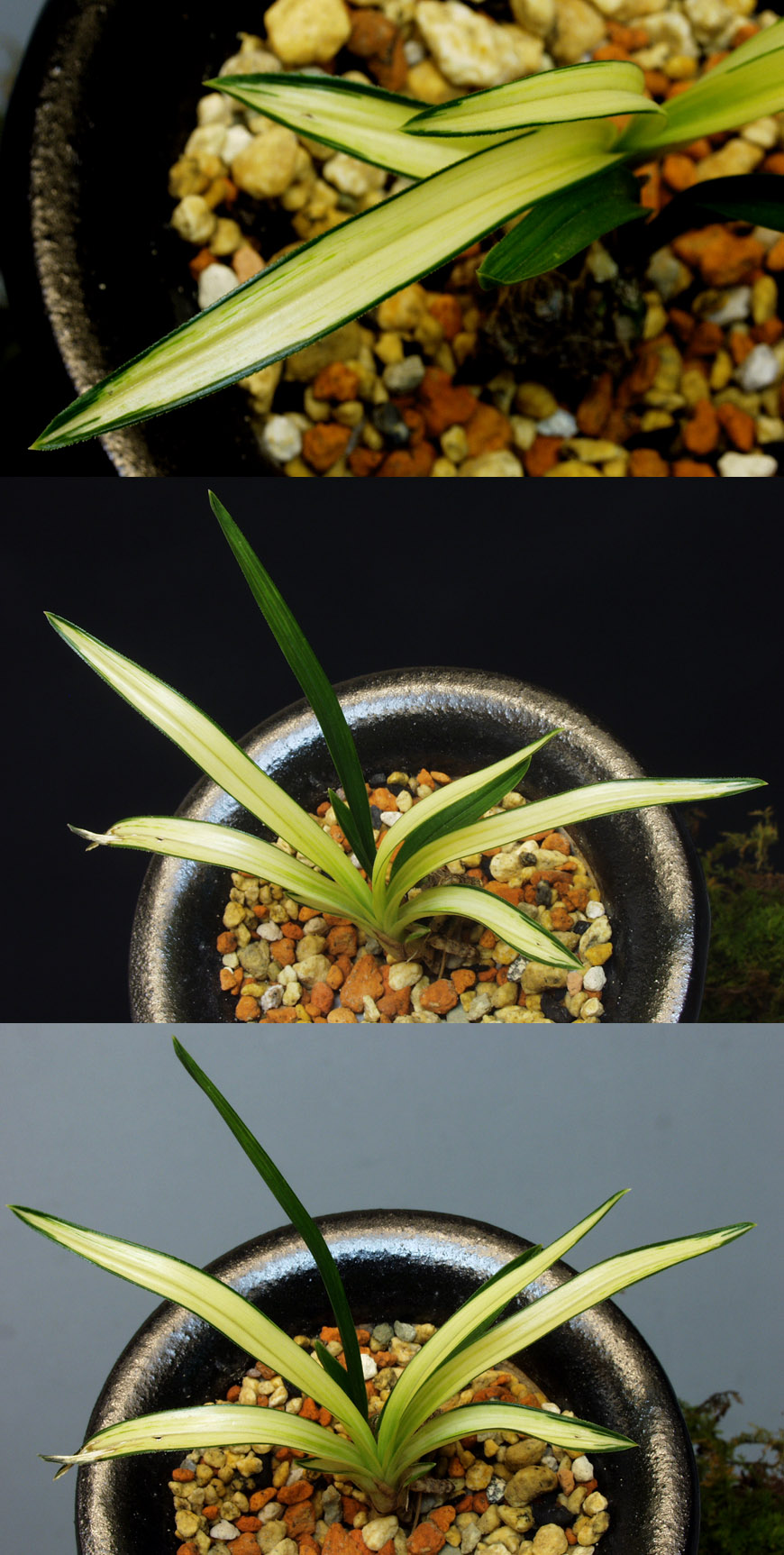 ������ ū������ �� �� �ֽ��ϴ�.