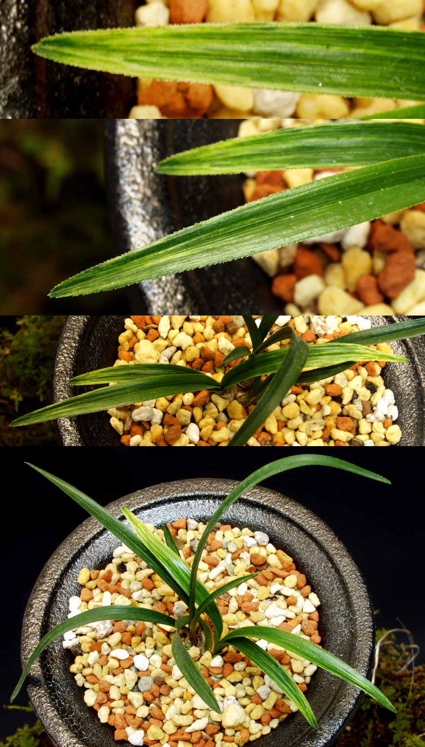 ������ ū������ �� �� �ֽ��ϴ�.