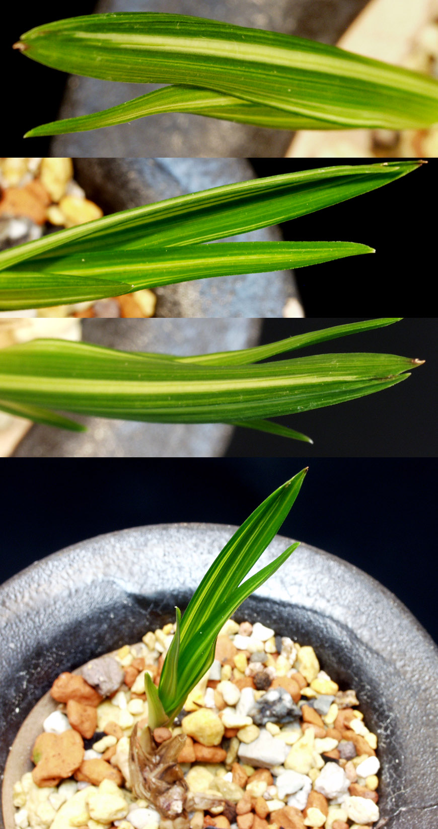 ������ ū������ �� �� �ֽ��ϴ�.