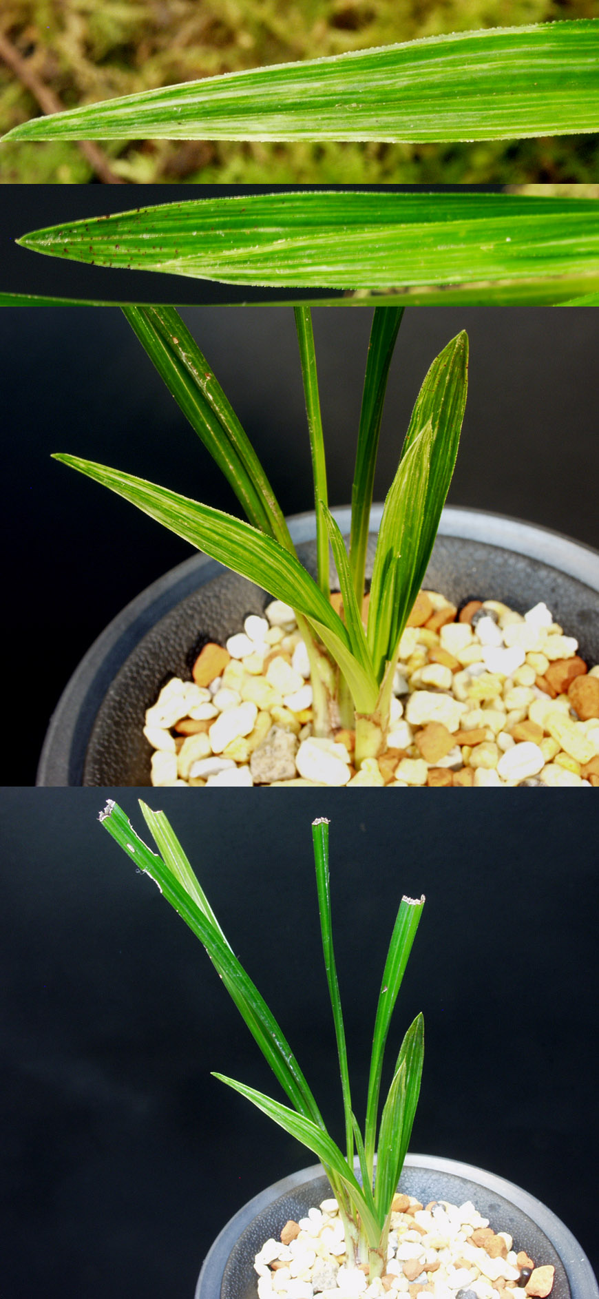 ������ ū������ �� �� �ֽ��ϴ�.