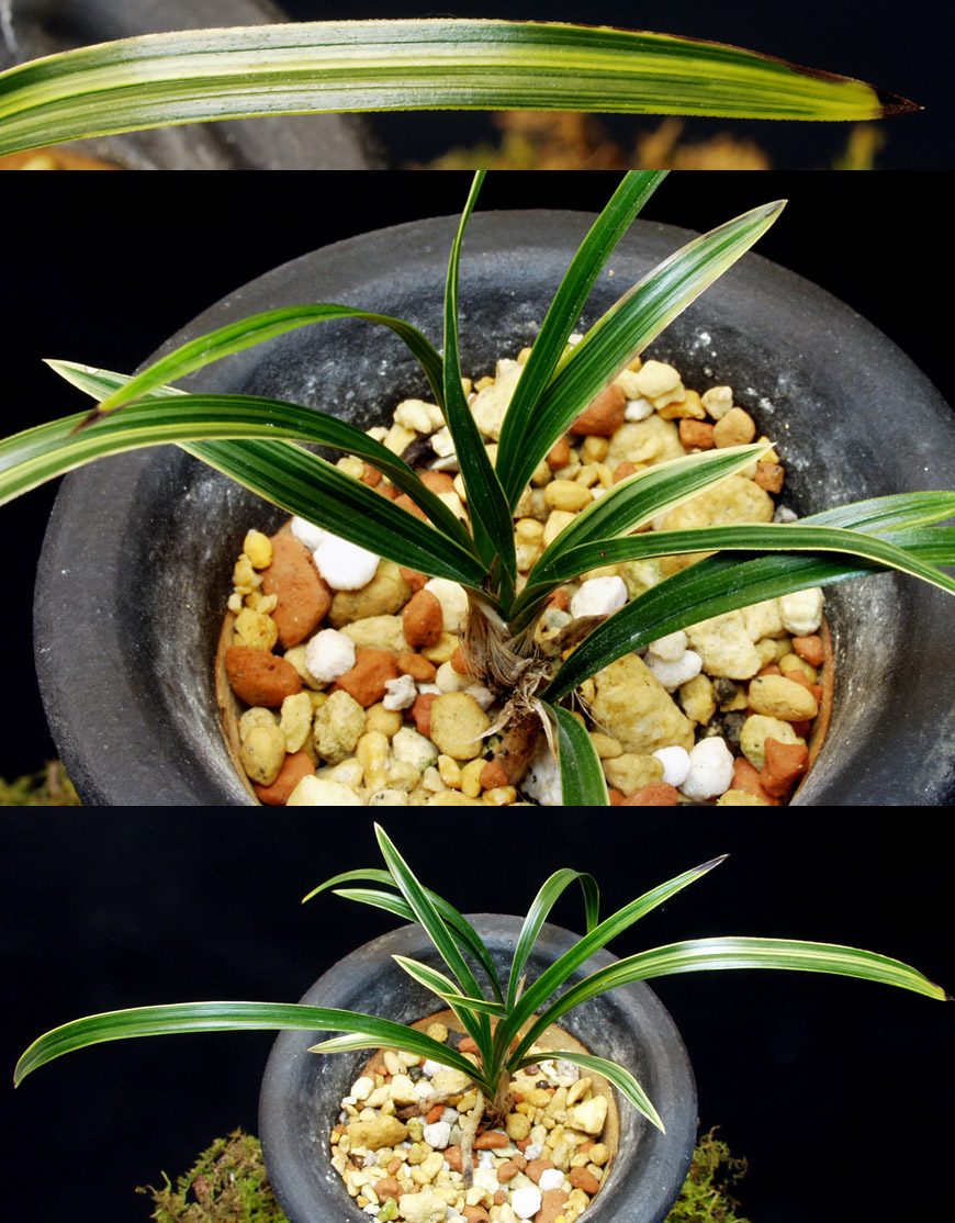 ������ ū������ �� �� �ֽ��ϴ�.