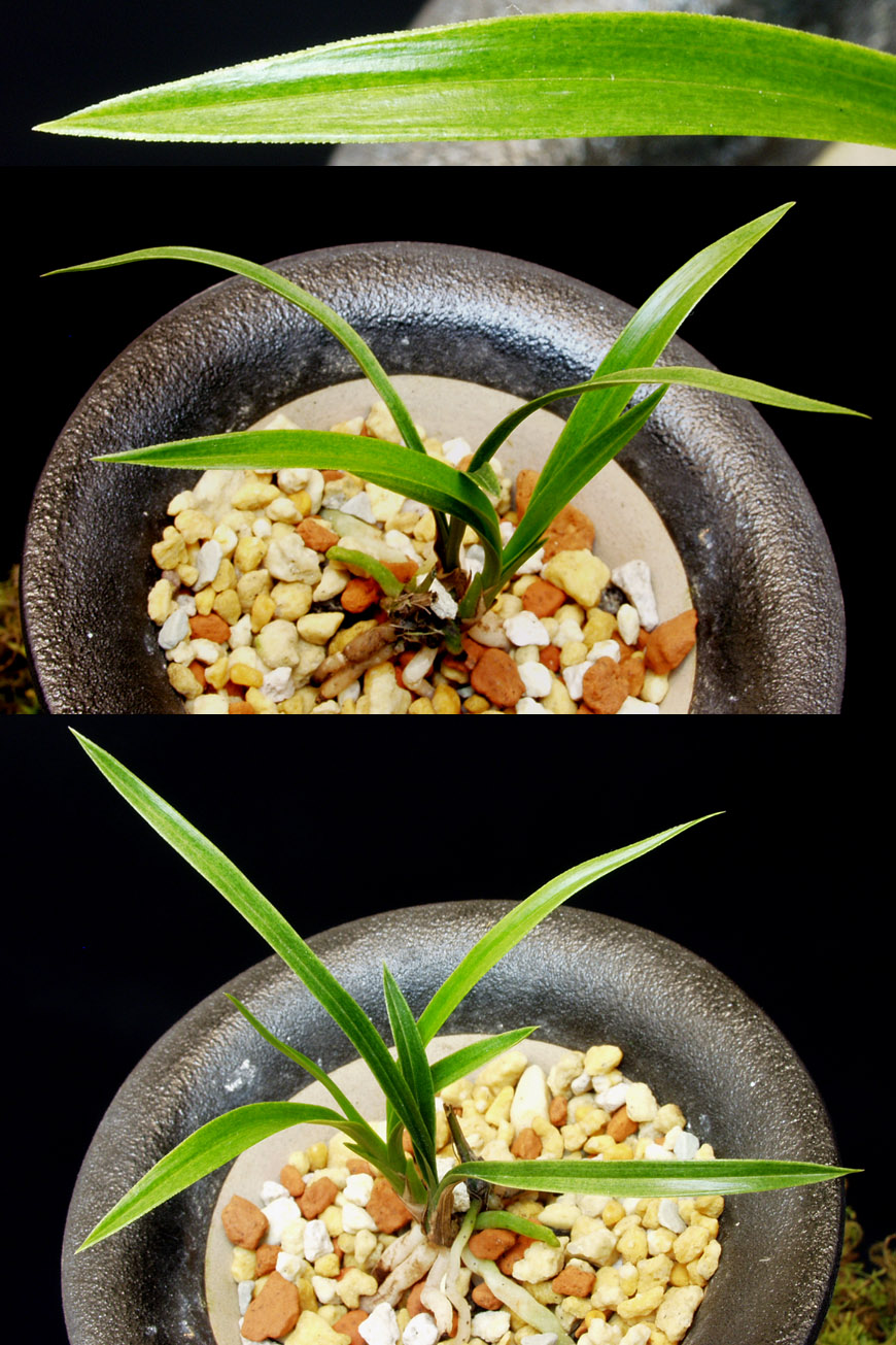 ������ ū������ �� �� �ֽ��ϴ�.