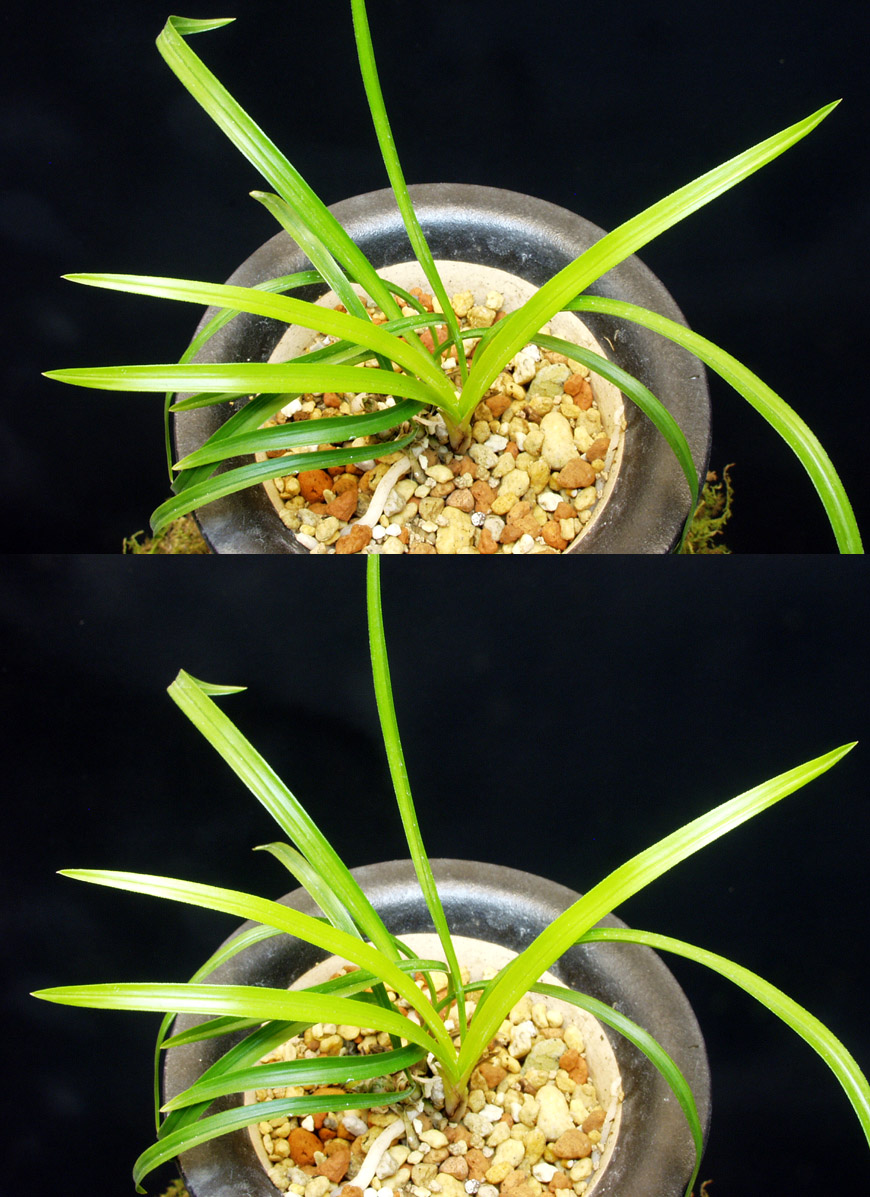 ������ ū������ �� �� �ֽ��ϴ�.