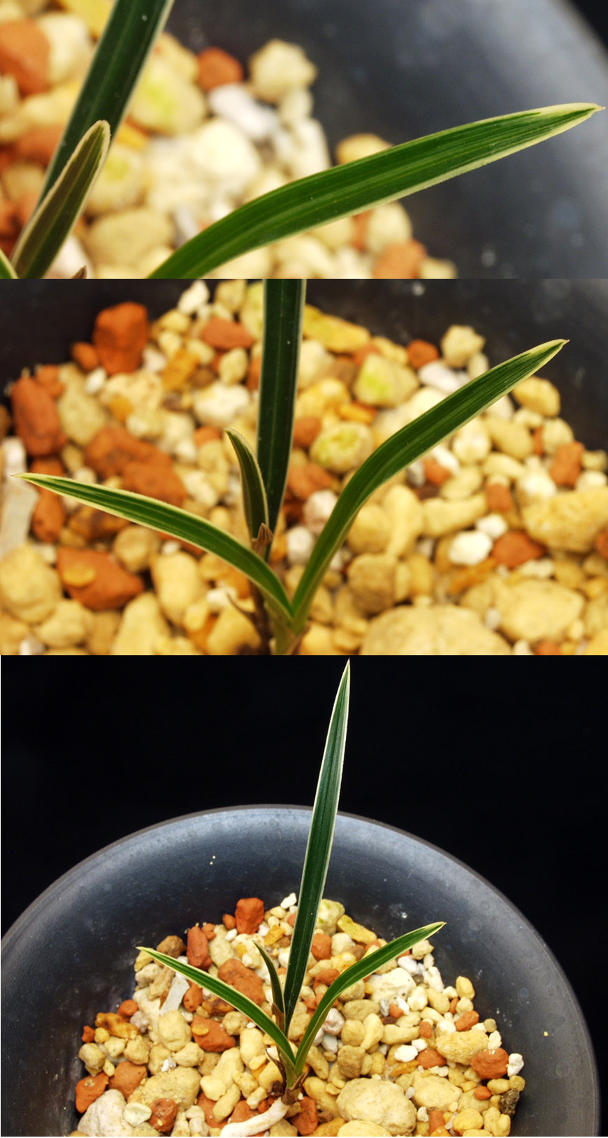 ������ ū������ �� �� �ֽ��ϴ�.