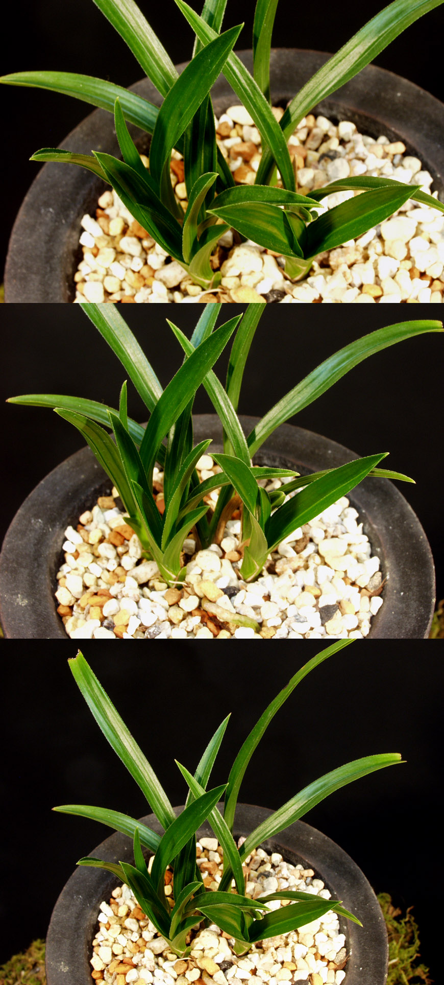 ������ ū������ �� �� �ֽ��ϴ�.