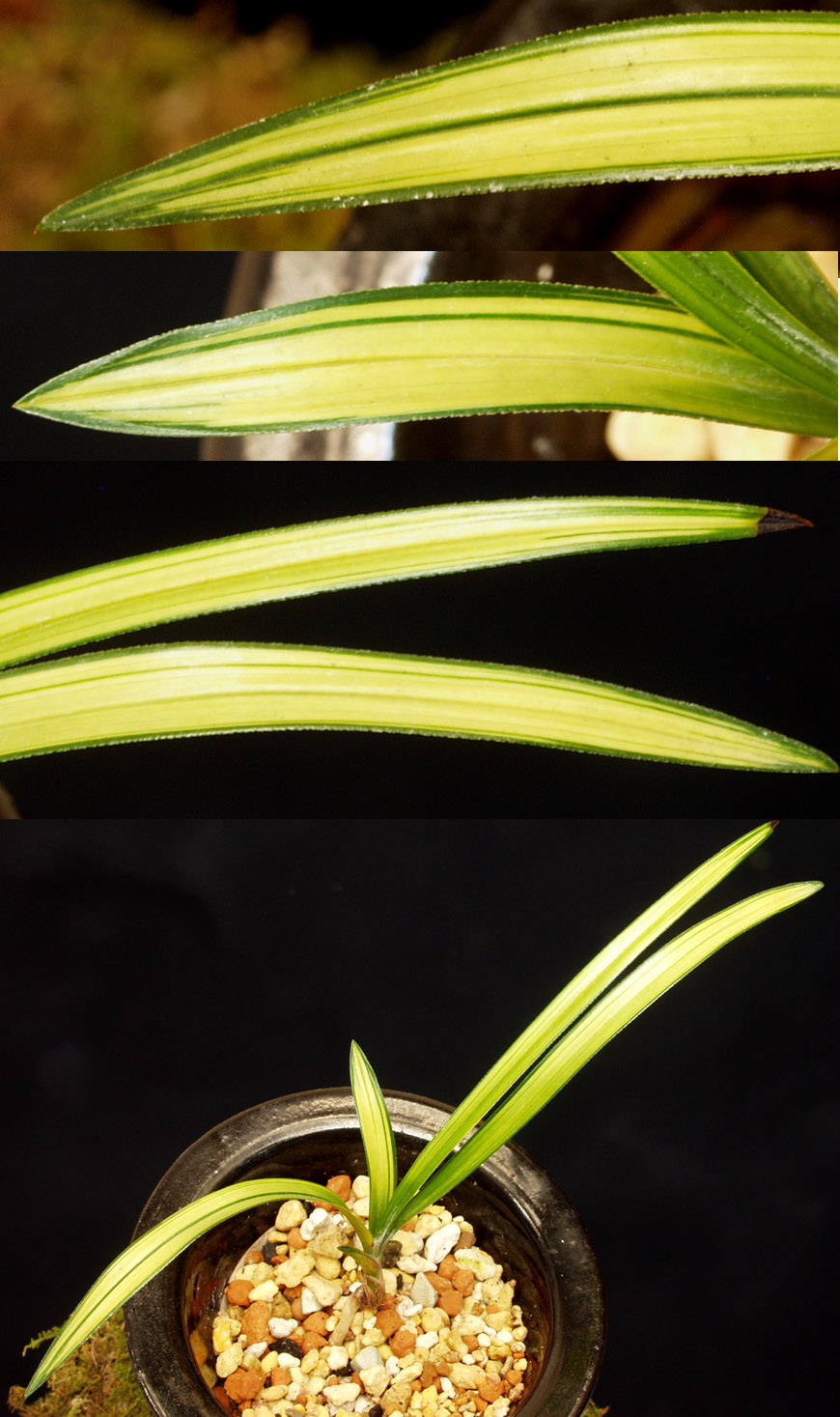 ������ ū������ �� �� �ֽ��ϴ�.